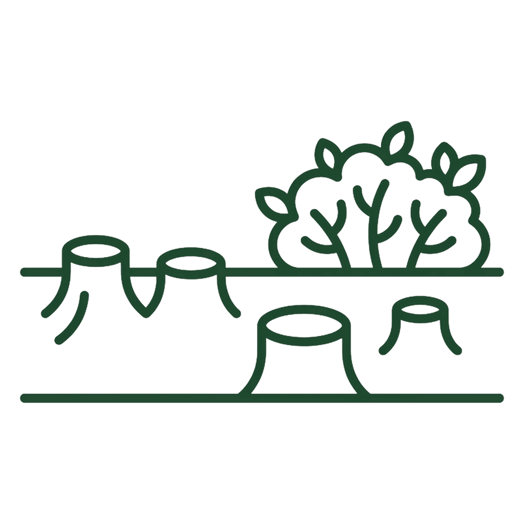 Land Clearing