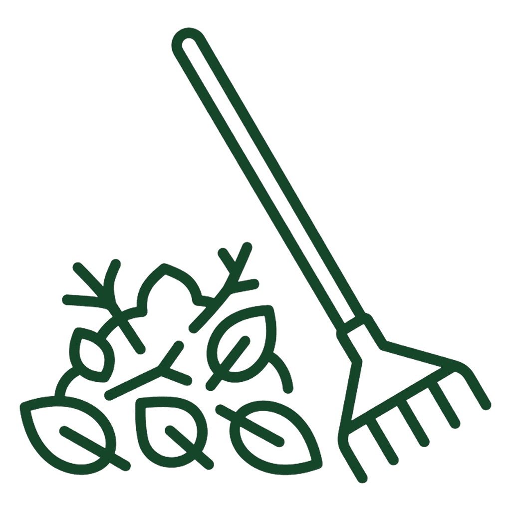 Property Cleanup
