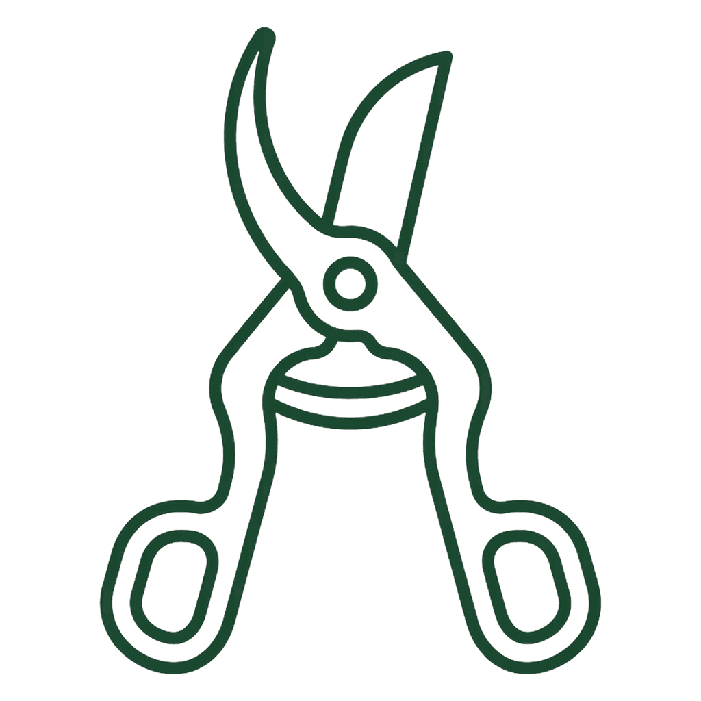 Pruning