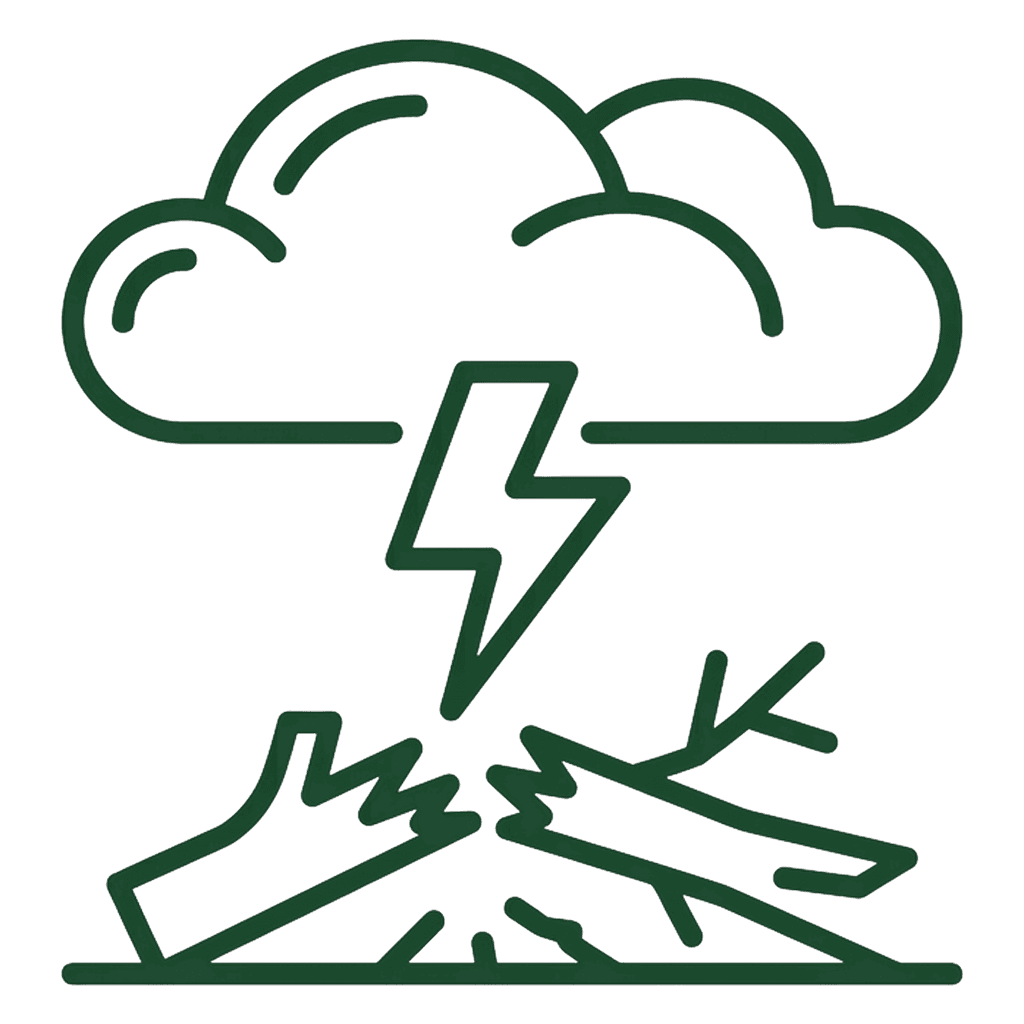 Storm Damage