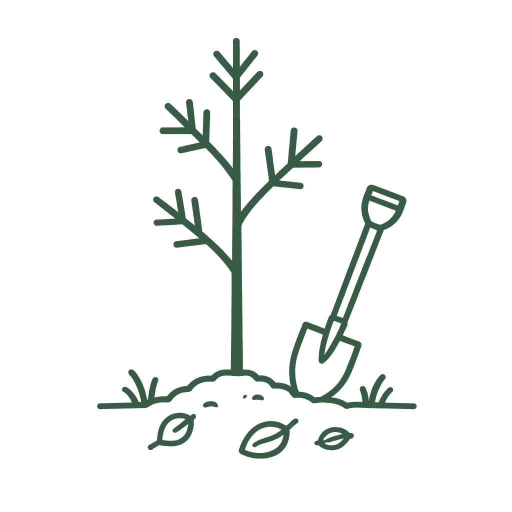 Tree Planting & Replacement
