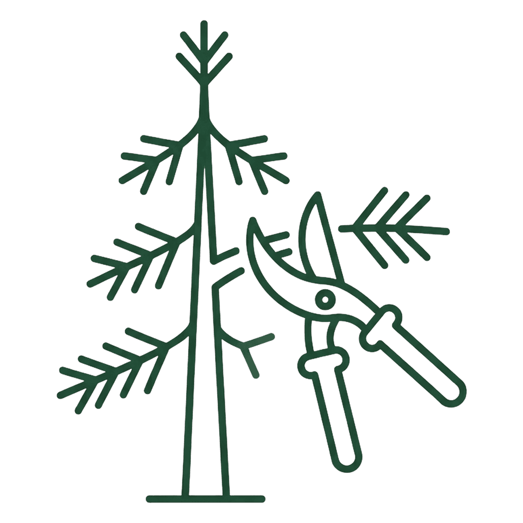 Tree Trimming