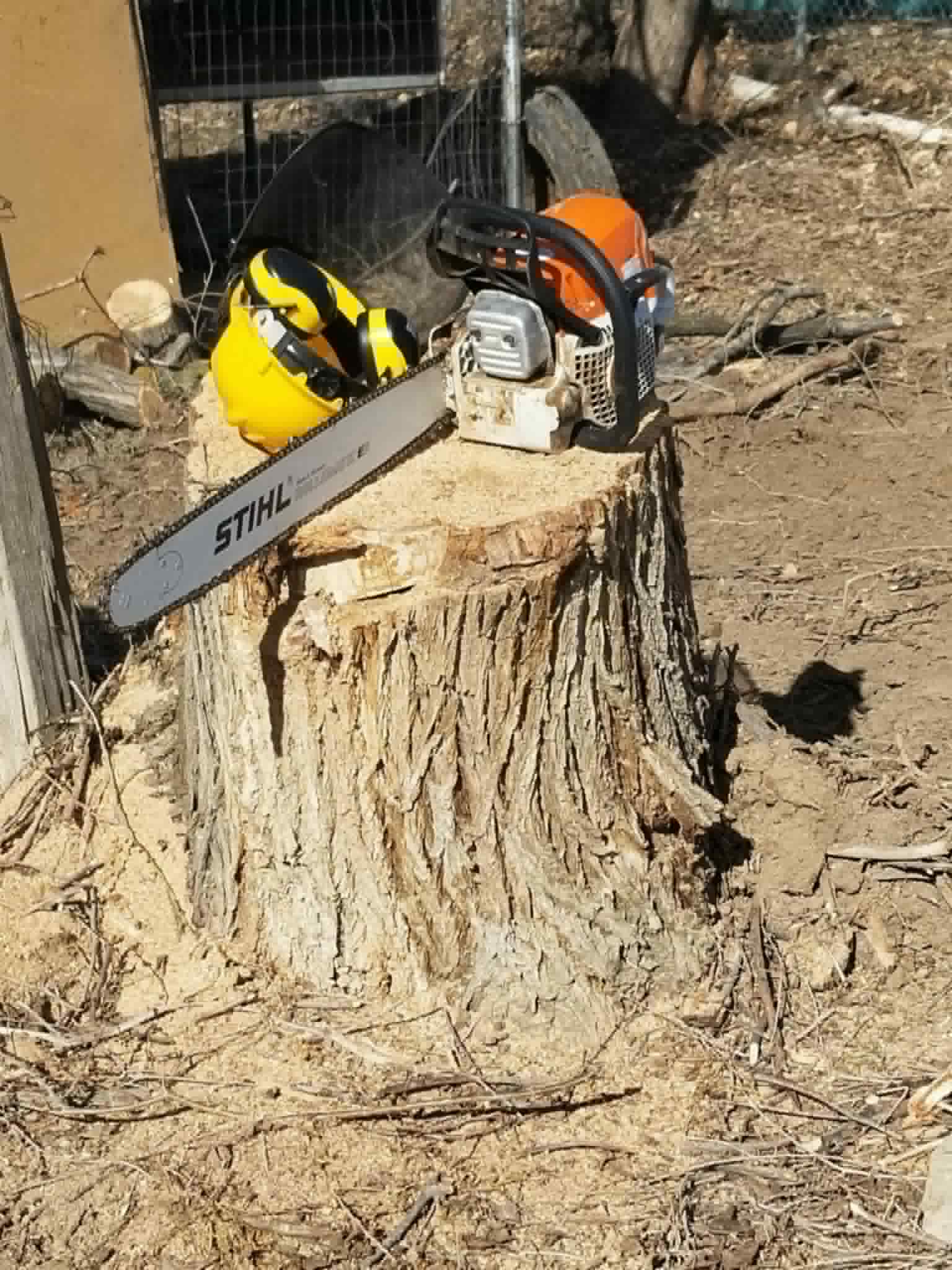 Chainsaw and safety helmet resting on a stump at the jobsite