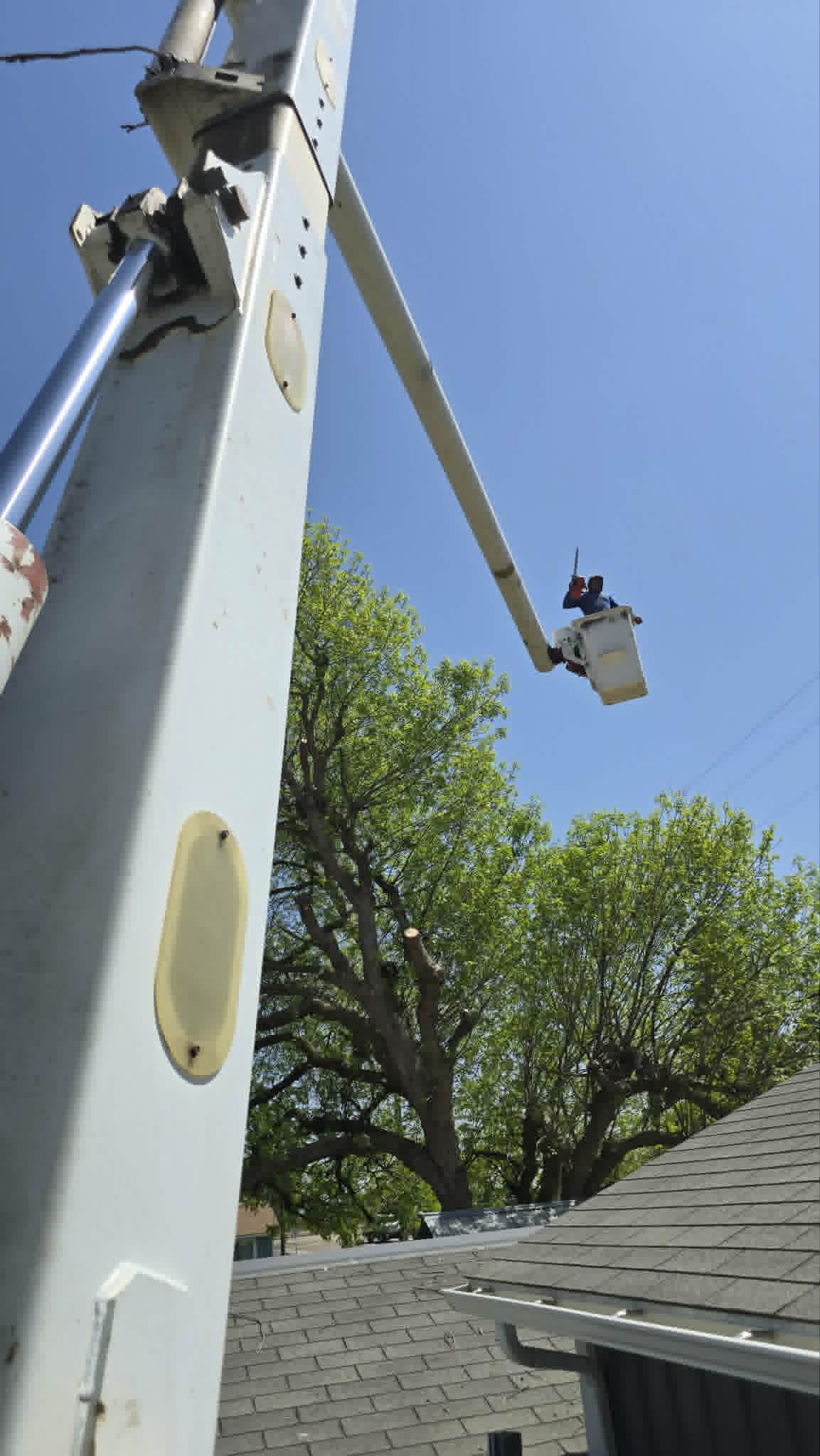 Elevador aéreo extendido sobre una propiedad residencial para trabajo de árboles